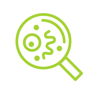 graphic icon showing a magnifying glass with germs under it